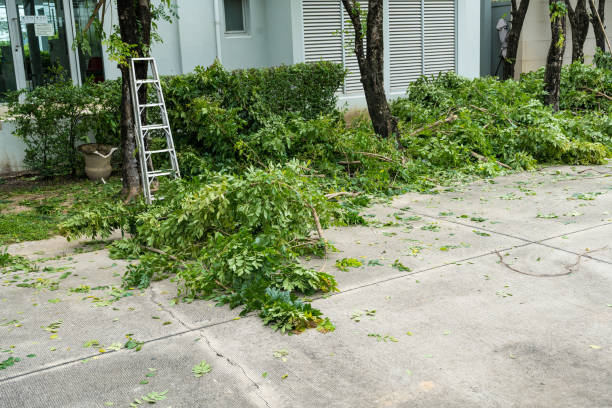 Best Organic Lawn Care Solutions  in Greenwood Lake, NY